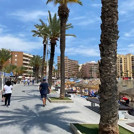 Alicante